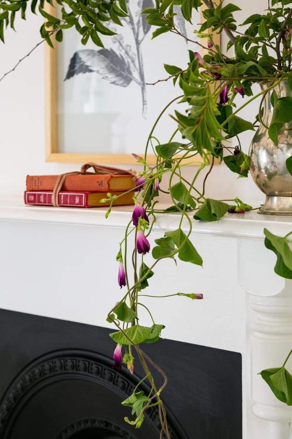 Boutique Guesthouse ฮานโอเวอร์ ภายนอก รูปภาพ