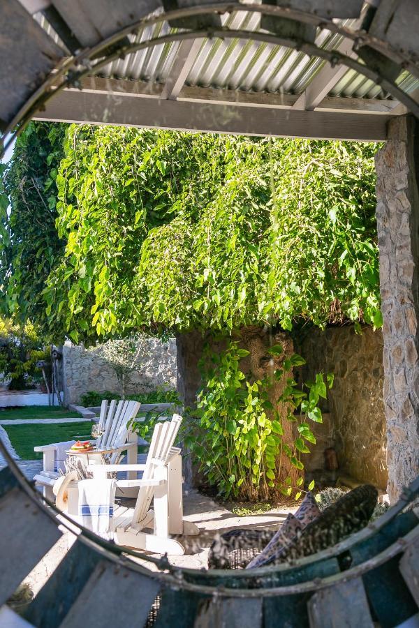 Boutique Guesthouse ฮานโอเวอร์ ภายนอก รูปภาพ