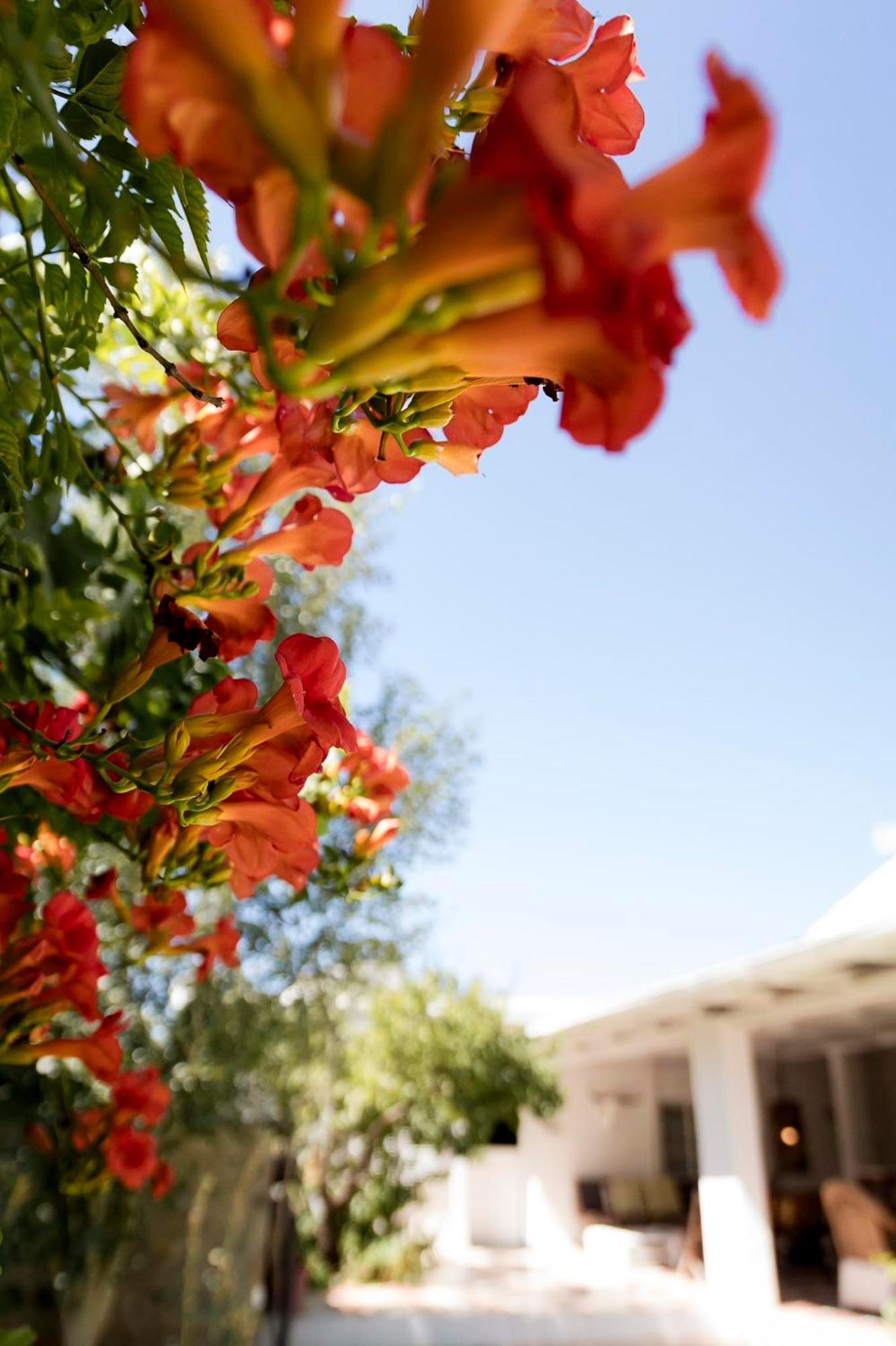 Boutique Guesthouse ฮานโอเวอร์ ภายนอก รูปภาพ